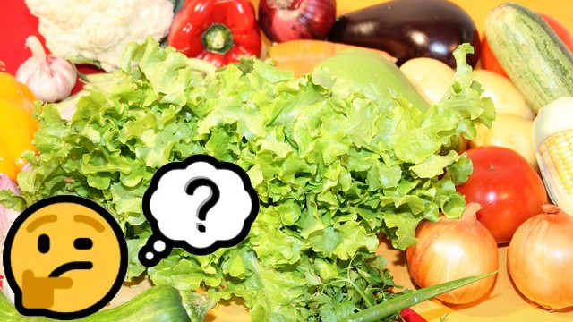 Lire la suite à propos de l’article Quiz – Alimentation et gastronomie